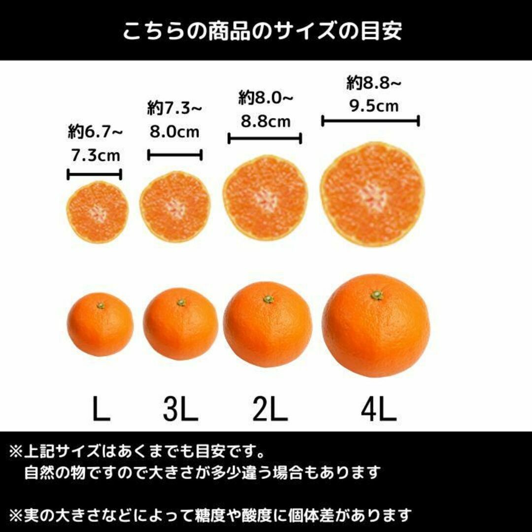 訳あり！減農薬!濃くて甘くて安心で安い！清見オレンジ きよみ 有田みかん 5kg 食品/飲料/酒の食品(フルーツ)の商品写真