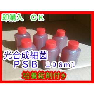 光合成細菌(ＰＳＢ)培養セット　１９８ｍｌ　/PSB/めだか/ミジンコ/針子/餌(アクアリウム)