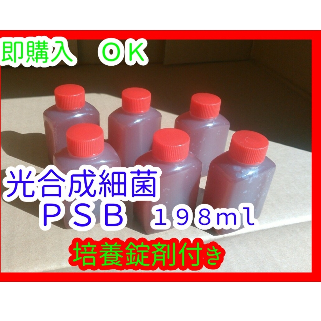 光合成細菌(ＰＳＢ)培養セット　１９８ｍｌ　/PSB/めだか/ミジンコ/針子/餌 その他のペット用品(アクアリウム)の商品写真