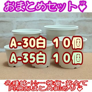 プラ鉢20個おまとめセット♪【A-30・A-35 各10個】プレステラ多肉(プランター)