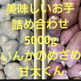 美味しいお芋の詰め合わせ　5000g(野菜)