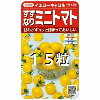 メーカー品未開封＜野菜の種＞１５粒　すずなりミニトマト　イエローキャロル(プランター)