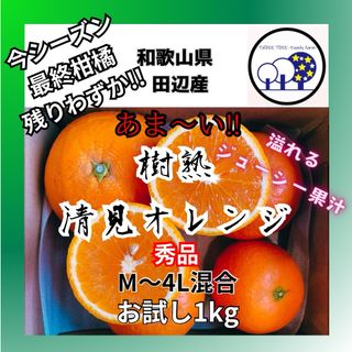 ①和歌山県田辺産 清見オレンジ きよみ 清美 柑橘 蜜柑 みかん  お試し1kg