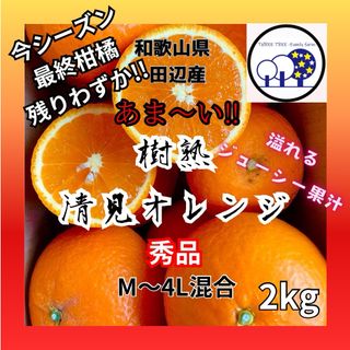 ①和歌山県田辺産 清見オレンジ きよみ 清美 柑橘 蜜柑 みかん  2kg(フルーツ)