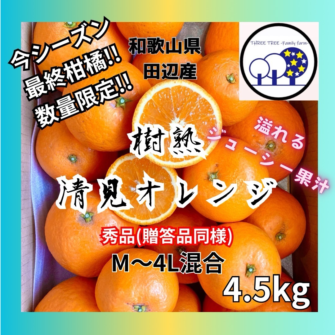 ①和歌山県田辺産 清見オレンジ きよみ 清美 柑橘 蜜柑 みかん  4.5kg 食品/飲料/酒の食品(フルーツ)の商品写真