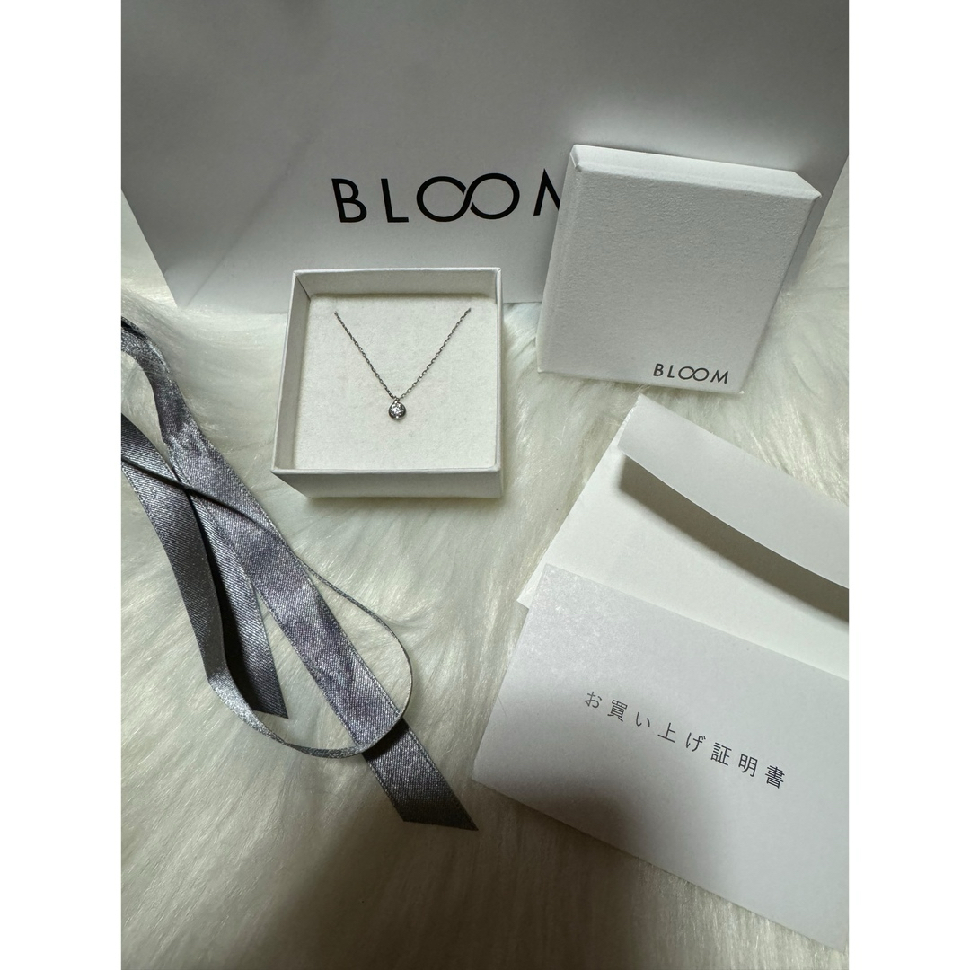 BLOOM(ブルーム)のBLOOM シルバーネックレス　一粒 レディースのアクセサリー(ネックレス)の商品写真