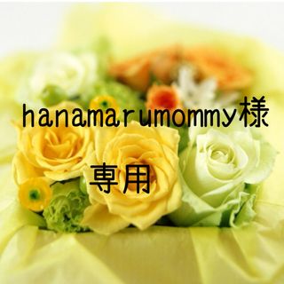 hanamarumommy様専用お米　令和5年　愛媛県産ヒノヒカリ　玄米　30㎏(米/穀物)