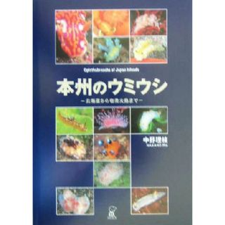 本州のウミウシ 北海道から奄美大島まで／中野理枝(著者)(科学/技術)