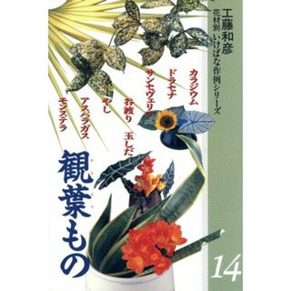 観葉もの(１４) 観葉もの 花材別　いけばな作例シリーズ１４／工藤和彦(著者)(住まい/暮らし/子育て)