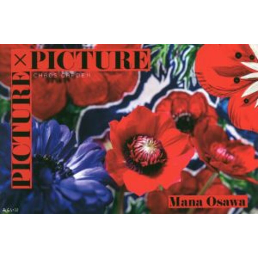 ＰＩＣＴＵＲＥ×ＰＩＣＴＵＲＥ ＣＨＡＯＳ　ＧＡＲＤＥＮ／Ｍａｎａ　Ｏｓａｗａ(著者) エンタメ/ホビーの本(その他)の商品写真