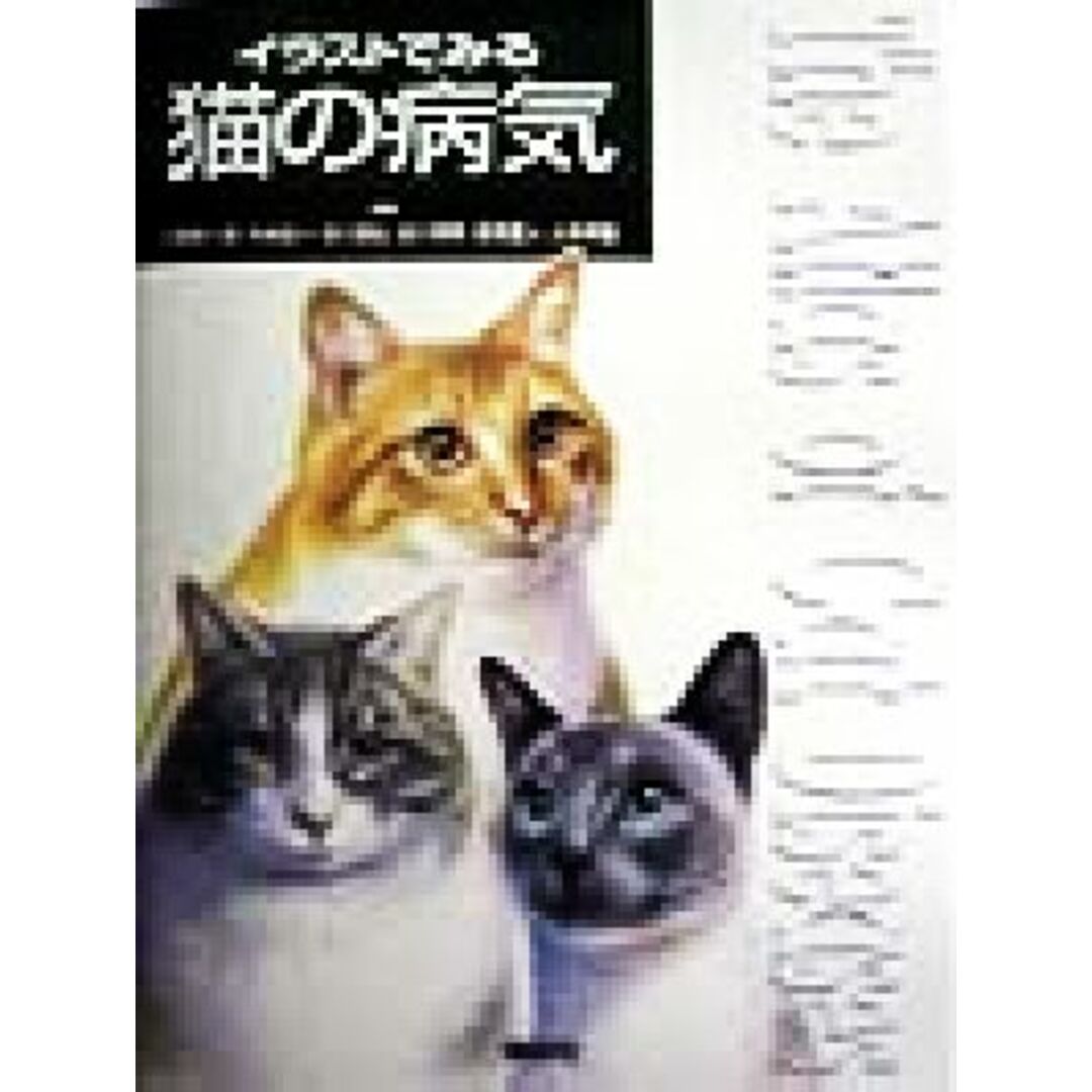 イラストでみる猫の病気／小野憲一郎(編者),今井壮一(編者),多川政弘(編者),安川明男(編者),若尾義人(編者),土井邦雄(編者) エンタメ/ホビーの本(住まい/暮らし/子育て)の商品写真