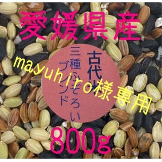 mayuhiro様専用　古代米3種ふぞろいブレンド　愛媛県産　800ｇ(米/穀物)