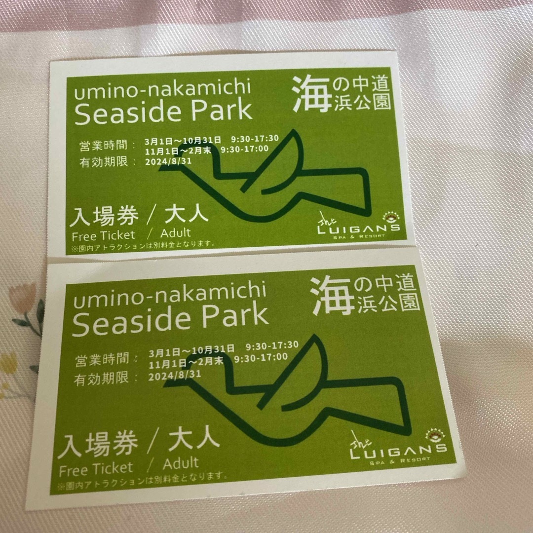 海の中道海浜公園 大人チケット2枚 チケットの施設利用券(その他)の商品写真