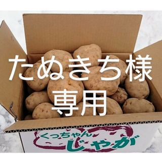 11　ご予約品(野菜)