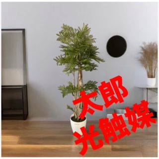 光触媒　人工観葉植物　ウォールグリーン　フェイクグリーン　エバーフレッシュpgj(その他)