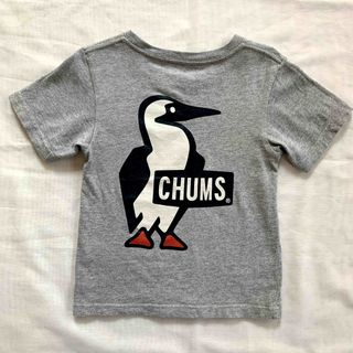 チャムス CHUMS キッズ　ブービーロゴTシャツ　グレー　M（100-115）