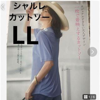 シャルレ(シャルレ)の入手困難！シャルレ　涼やか5分袖カットソーLL(Tシャツ(半袖/袖なし))