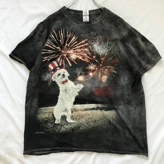 gildan soft styleプリントdog 花火 Tシャツ脱色加工(Tシャツ/カットソー(半袖/袖なし))