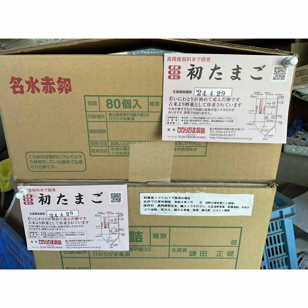 80個　初たまご　卵かけご飯　生２週間　加熱１ヶ月 食品/飲料/酒の食品(野菜)の商品写真