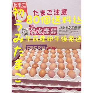 80個　初たまご　卵かけご飯　生２週間　加熱１ヶ月