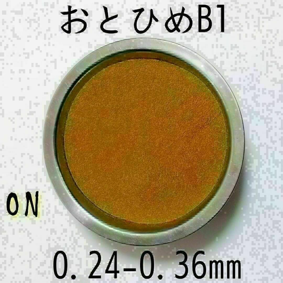 高栄養飼料 メダカ餌 おとひめB1 4kg アクアリウム 熱帯魚 グッピー その他のペット用品(アクアリウム)の商品写真