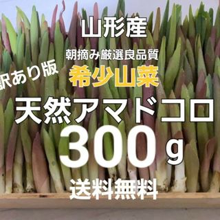 山形産　天然朝摘みアマドコロ(訳あり)約300g　あまどころ　春野菜　山菜(野菜)