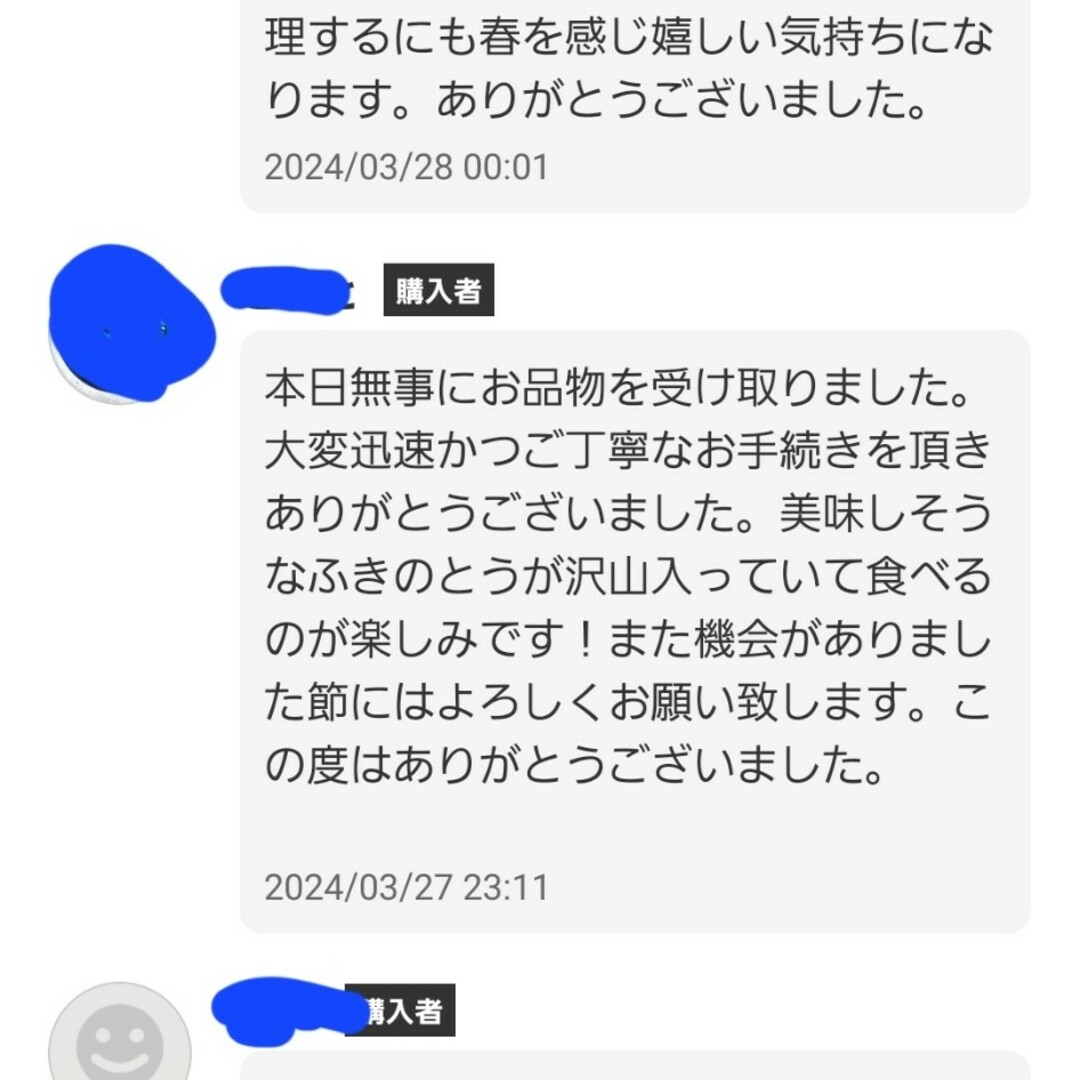 山形庄内鳥海山産　朝摘み天然たらの芽約200g　タラの芽　春野菜　山菜 食品/飲料/酒の食品(野菜)の商品写真