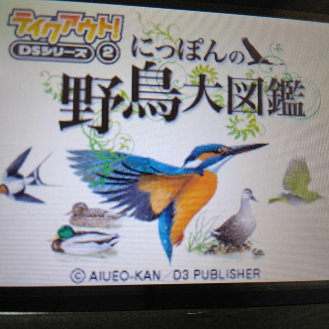 ニンテンドーDS(ニンテンドーDS)のにっぽんの野鳥大図鑑 テイクアウト!DSシリーズ エンタメ/ホビーのゲームソフト/ゲーム機本体(携帯用ゲームソフト)の商品写真