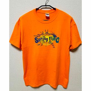 【US古着】 フロントプリントTシャツ(L / オレンジ系)(Tシャツ/カットソー(半袖/袖なし))