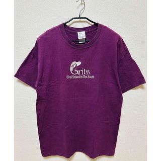 【US古着】 フロント刺繍Tシャツ(L / パープル系)(Tシャツ/カットソー(半袖/袖なし))