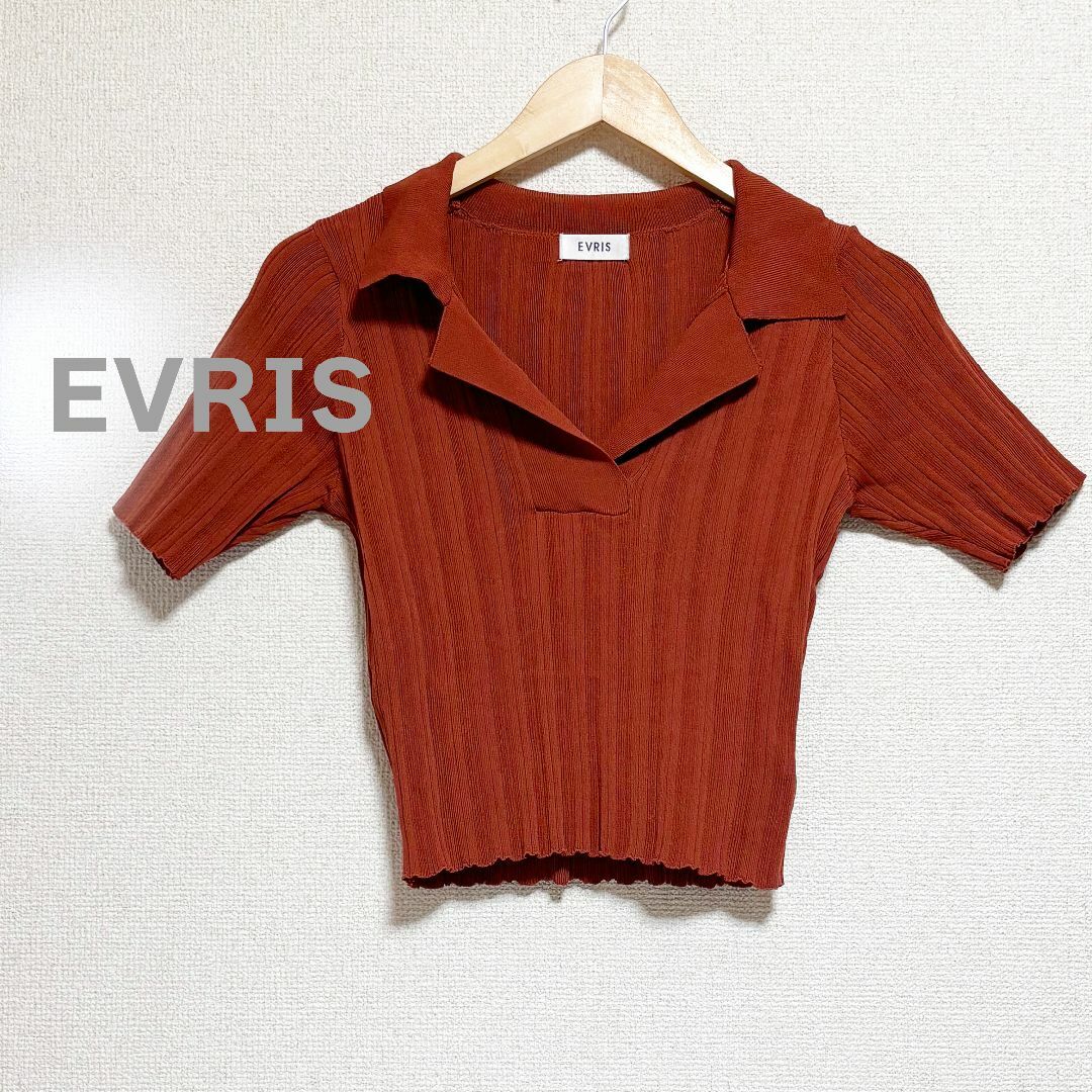 EVRIS(エヴリス)のEVRIS エヴリス　ニット　半袖　茶色　襟付き　ランダムリブ　ブラウン レディースのトップス(ニット/セーター)の商品写真