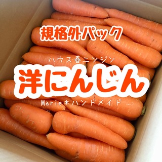 【規格外】洋にんじん　12kg　ハウスニンジン　人参　野菜　産地直送　期間限定(野菜)