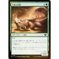 【FOIL】マジックザギャザリング OTJ JP 0188 大食の匪獣 (日本…