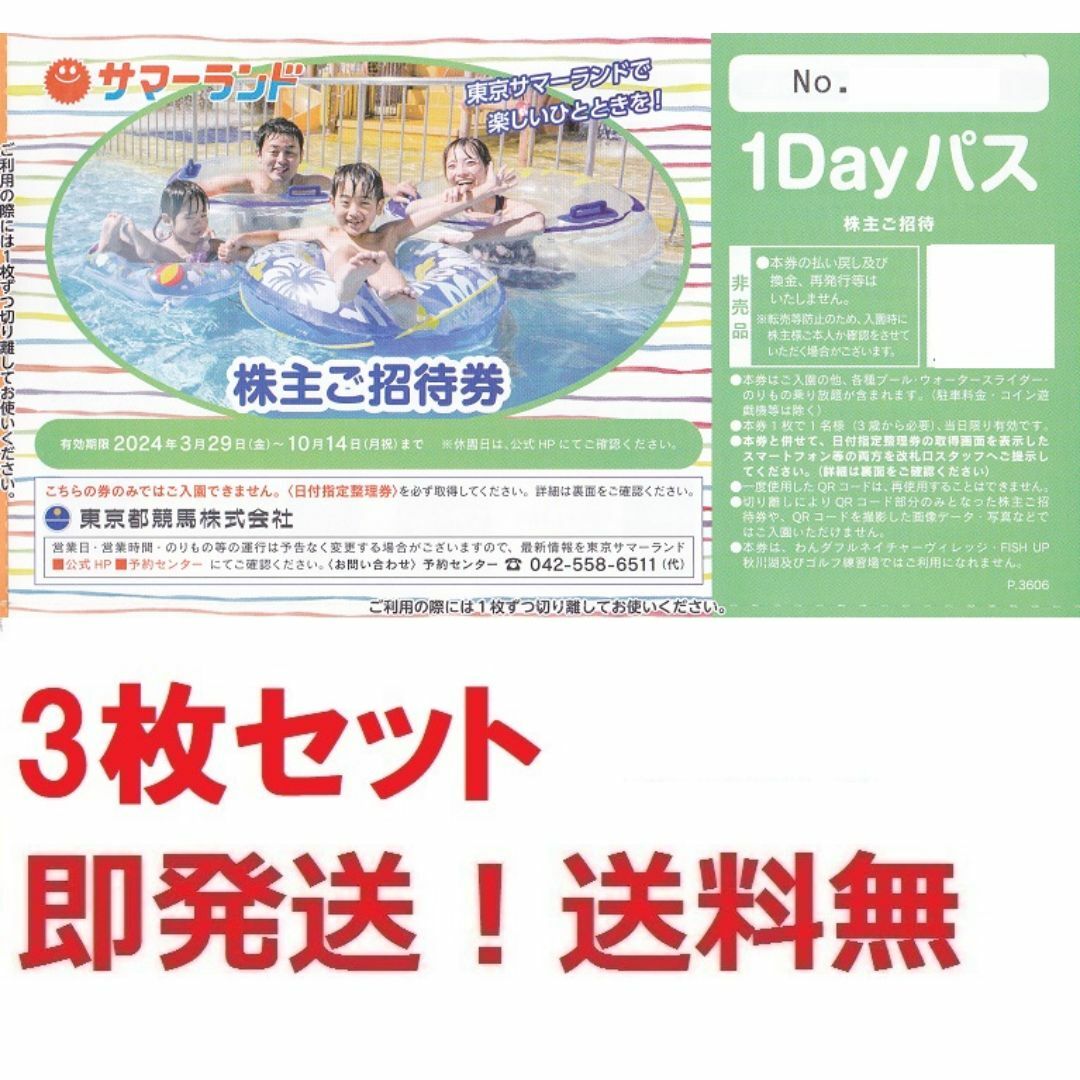 東京サマーランド株主優待フリーパス券３枚セット★夏休み可 チケットの施設利用券(プール)の商品写真