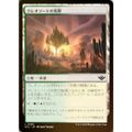 【FOIL】マジックザギャザリング OTJ JP 0255 クレオソートの荒野…