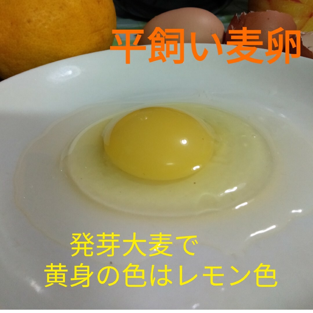 平飼い麦卵 ML 30個 朝採り卵 食品/飲料/酒の食品(野菜)の商品写真