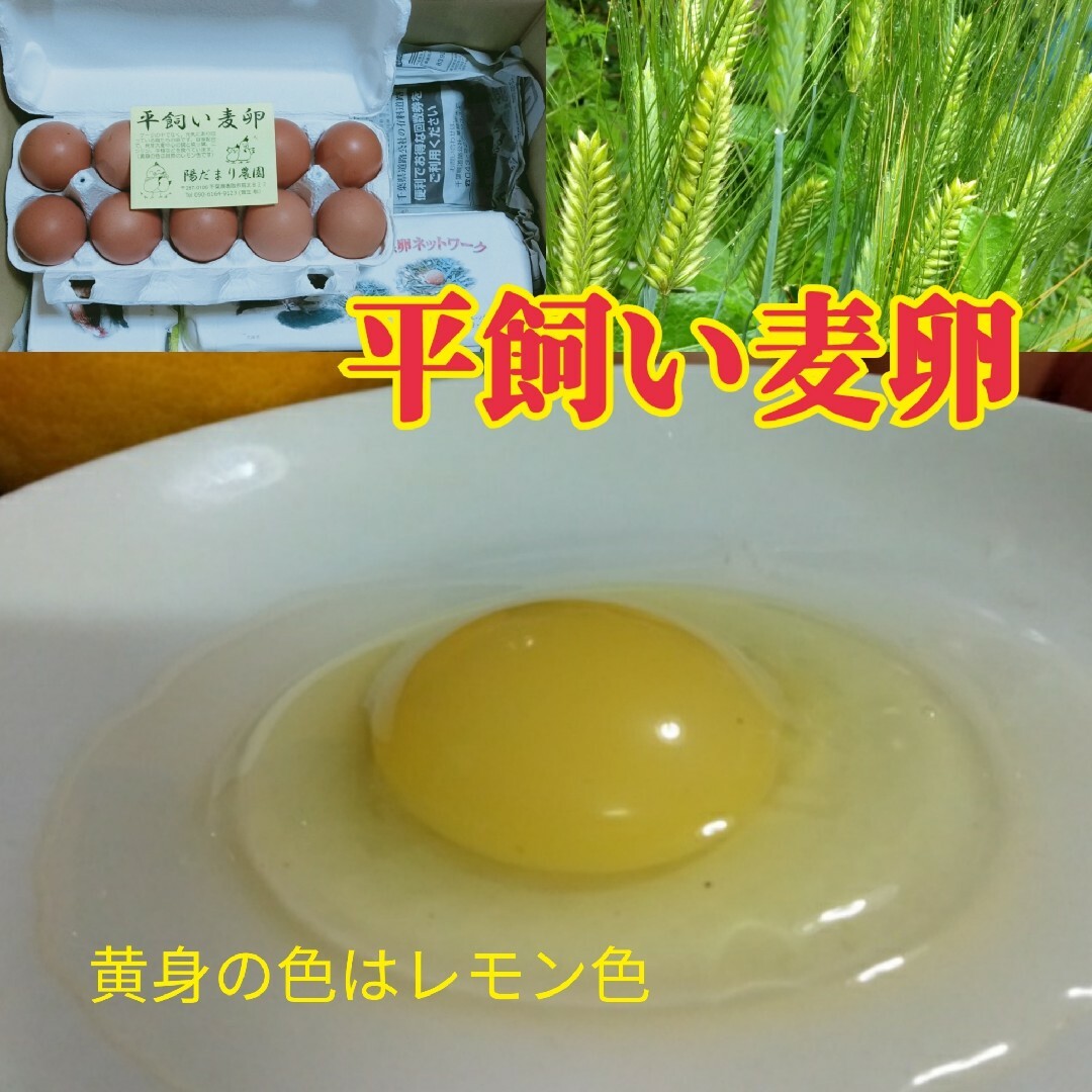 平飼い麦卵 ML 30個 朝採り卵 食品/飲料/酒の食品(野菜)の商品写真