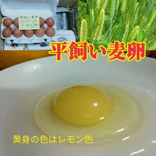 平飼い麦卵 ML 30個 朝採り卵(野菜)