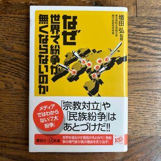 なぜ世界で紛争が無くならないのか(その他)