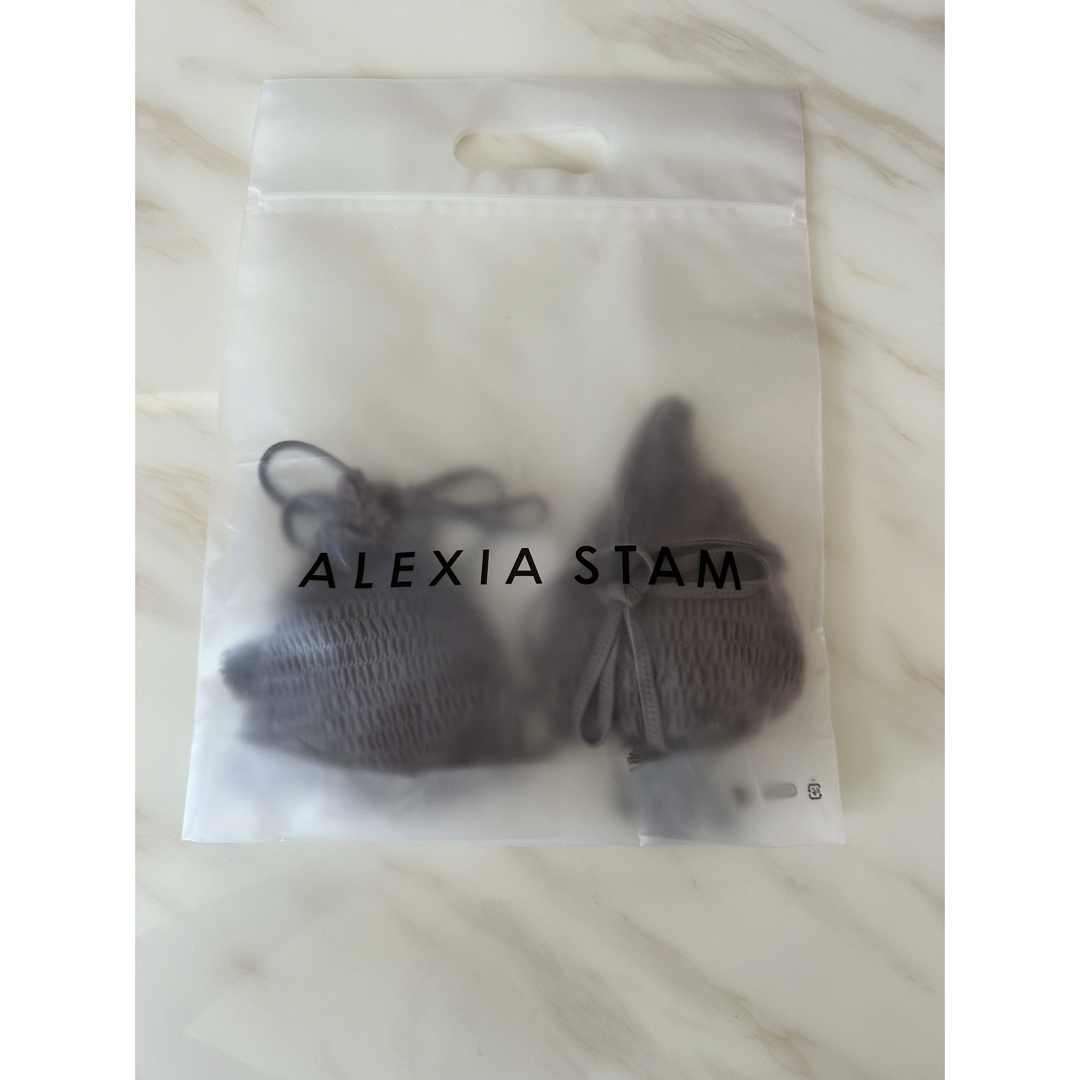 ALEXIA STAM(アリシアスタン)の新品未使用タグ付き　alexiastam ビキニ　水着　レクシー　ブラウン レディースの水着/浴衣(水着)の商品写真