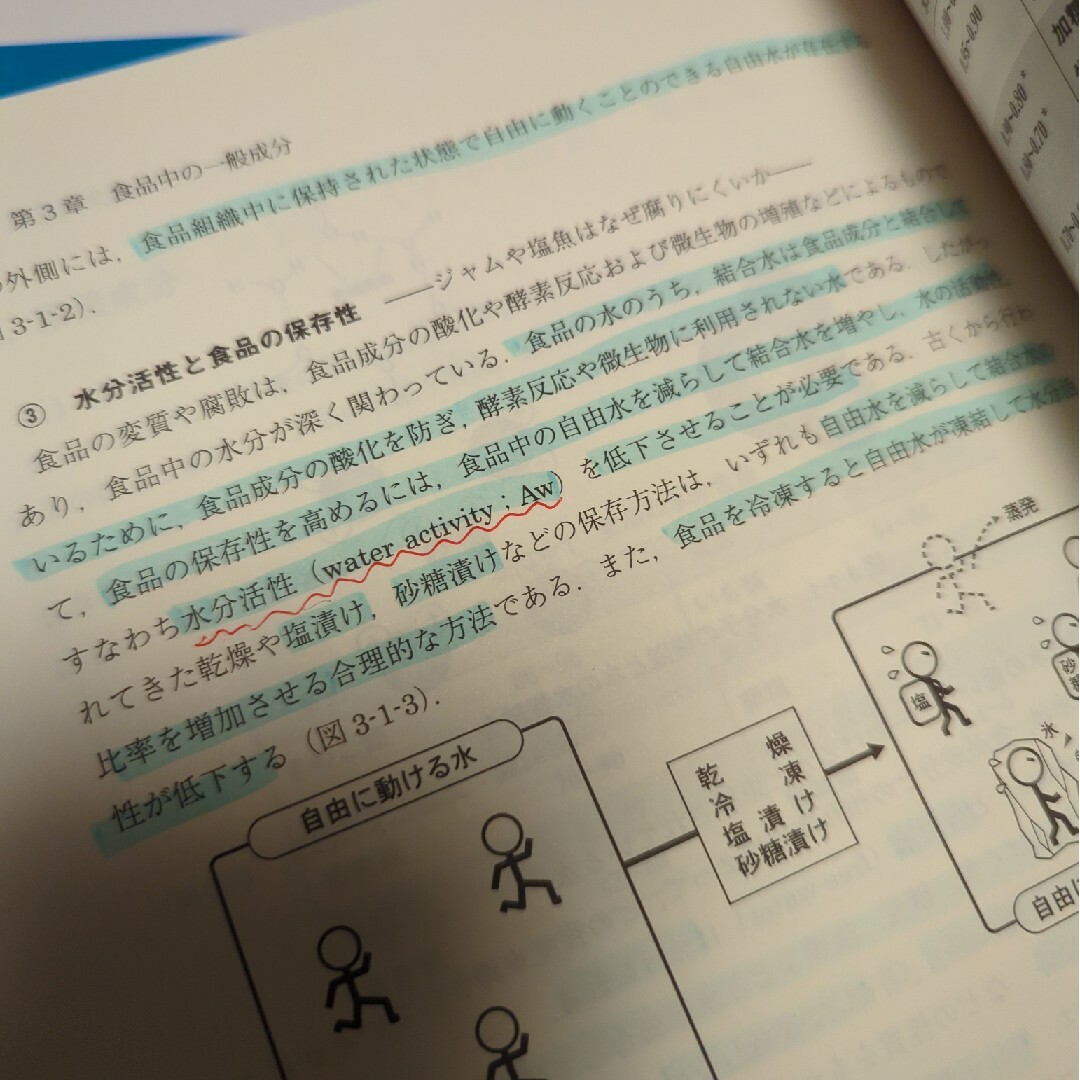 食品学総論 エンタメ/ホビーの本(健康/医学)の商品写真