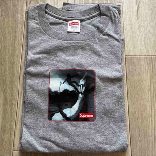 シュプリーム(Supreme)の21FW Supreme - Shadow Tee(Tシャツ/カットソー(半袖/袖なし))