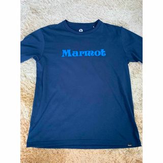 マーモット(MARMOT)のマーモット　marmot Tシャツ　Lサイズ　紺色　ネイビー(Tシャツ/カットソー(半袖/袖なし))