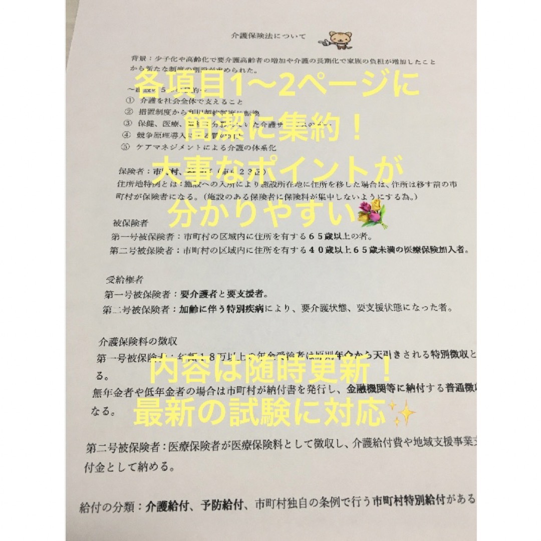 介護福祉士　国家試験対策　要点まとめプリント エンタメ/ホビーの本(語学/参考書)の商品写真