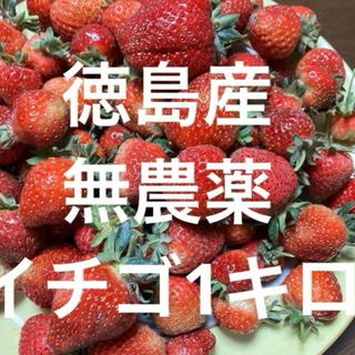 4月18日取り立て‼️徳島産無農薬　イチゴ1キロ