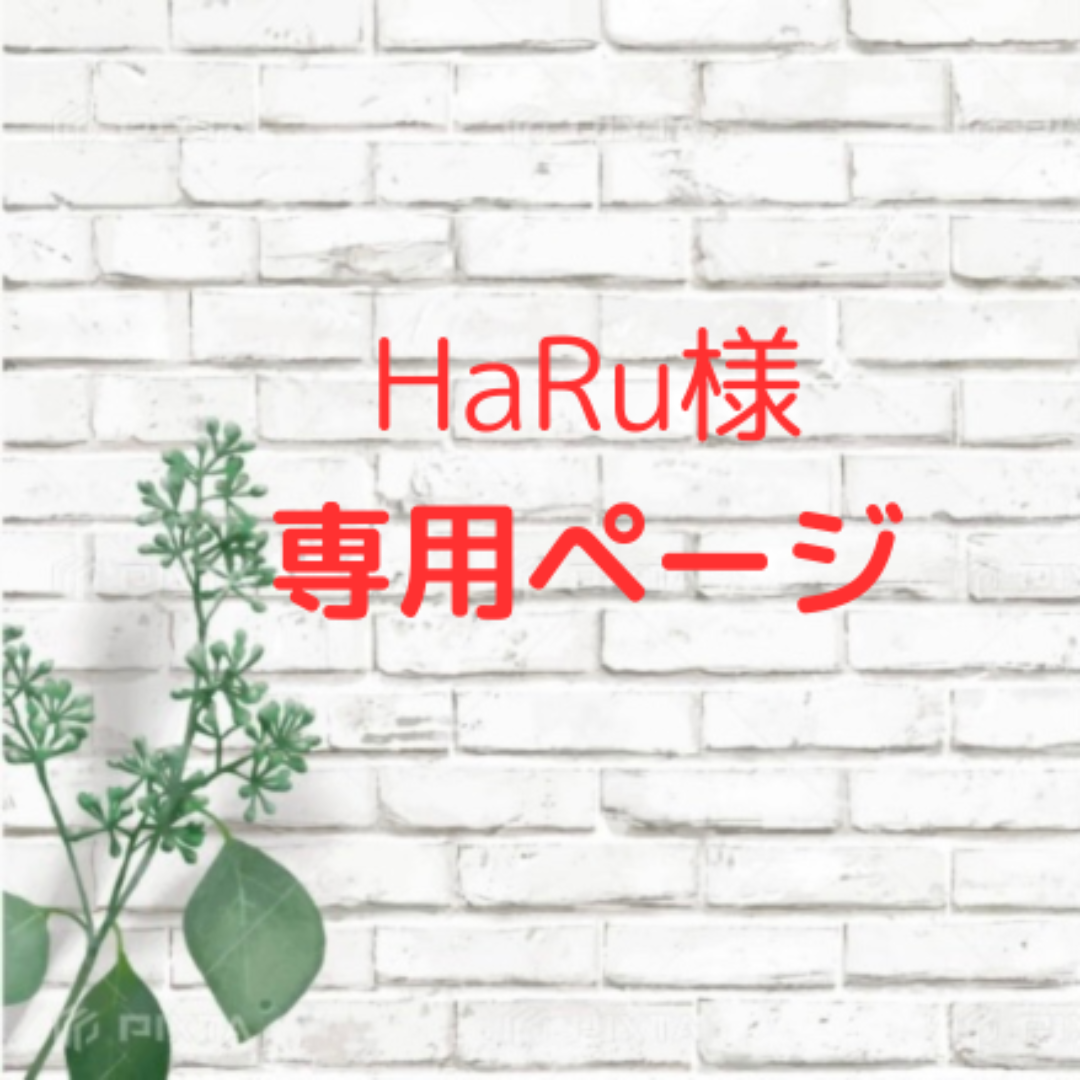 Haru様専用ページ コスメ/美容のネイル(マニキュア)の商品写真