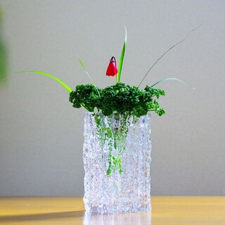 変形花器 ガラス花瓶 花瓶 花器  生け花 池坊  生け花 花瓶  レトロ(花瓶)