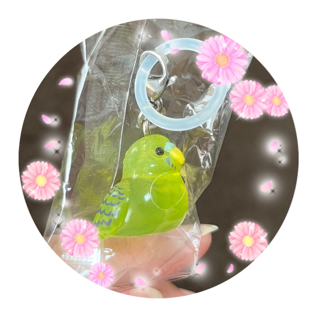 ♡ゆらりことり♡セキセイインコ イエロー クリアアクセサリー ハンドメイドのスマホケース/アクセサリー(スマホストラップ/チャーム)の商品写真