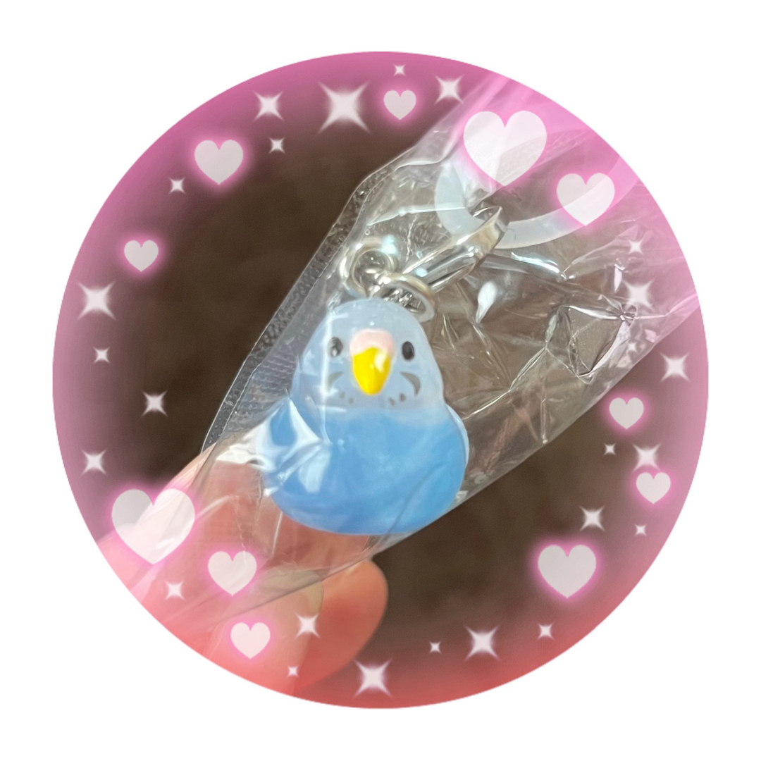 ♡ゆらりことり♡セキセイインコ オパーリン クリアアクセサリー ハンドメイドのスマホケース/アクセサリー(スマホストラップ/チャーム)の商品写真