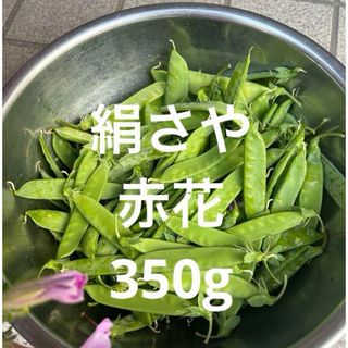 絹さや　赤花　350g(野菜)